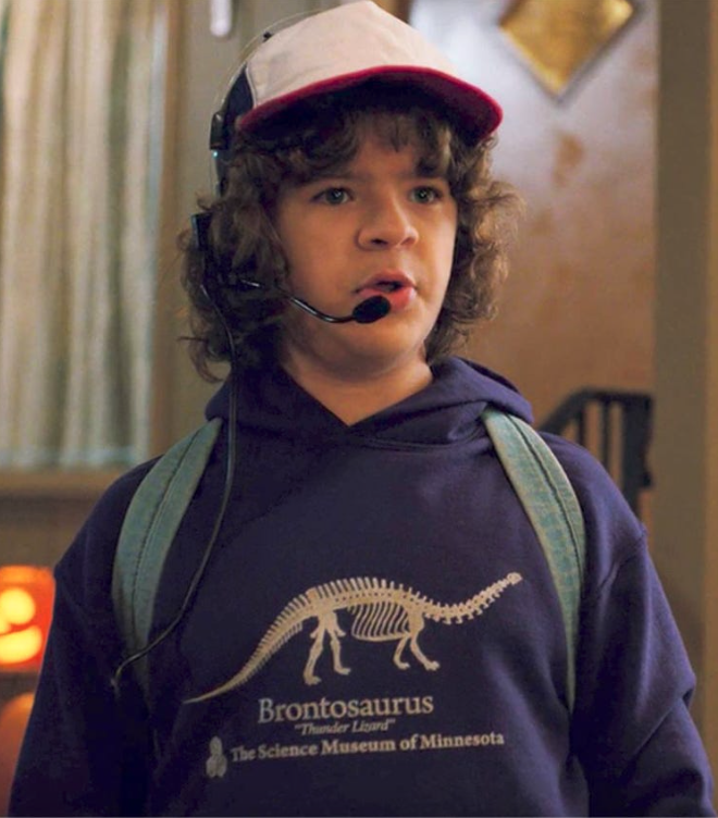 Stranger Things Dustin & Dart Kids Printed T-Shirt Various Sizes Available