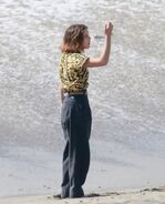 Millie on the Beach