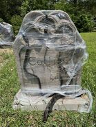Collins Gravesite