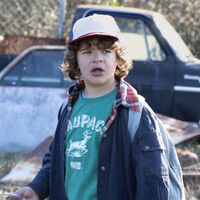 Dustin Henderson Stranger Things Wiki Fandom