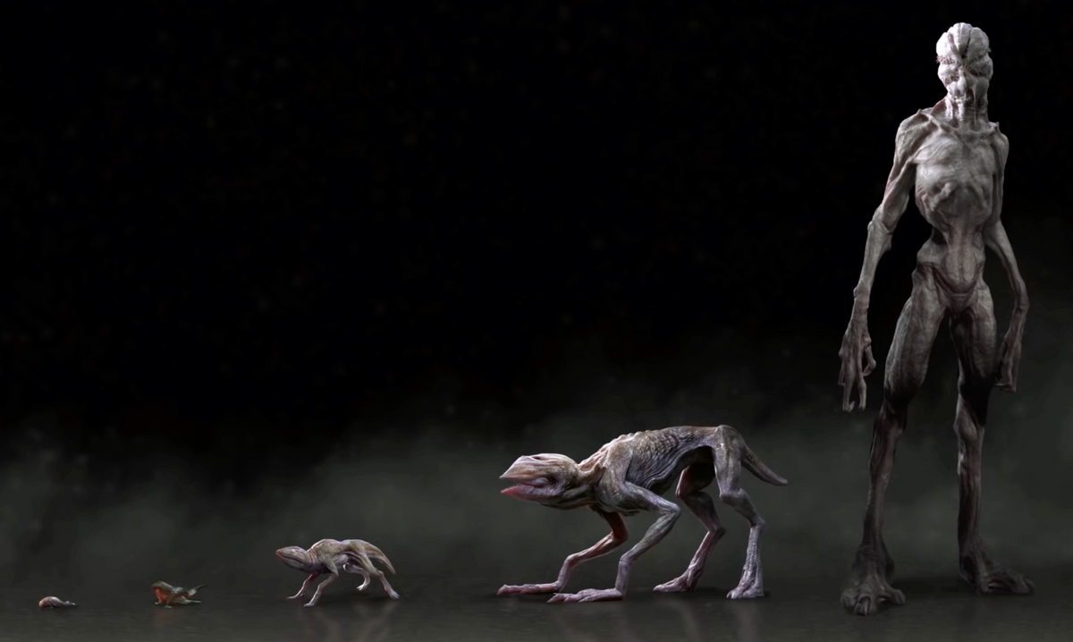 Demogorgon species Stranger Things Wiki Fandom