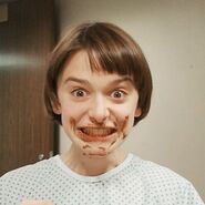 Chocolate Noah