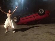 Millie Flips a car