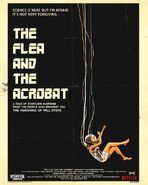 ST-The Flea and The Acrobat