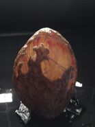 The egg prosthetic created by Fractured FX.
