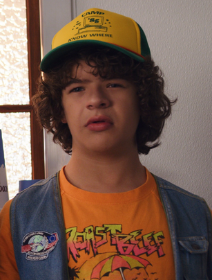 Dustin Henderson | Stranger Things Wiki | Fandom