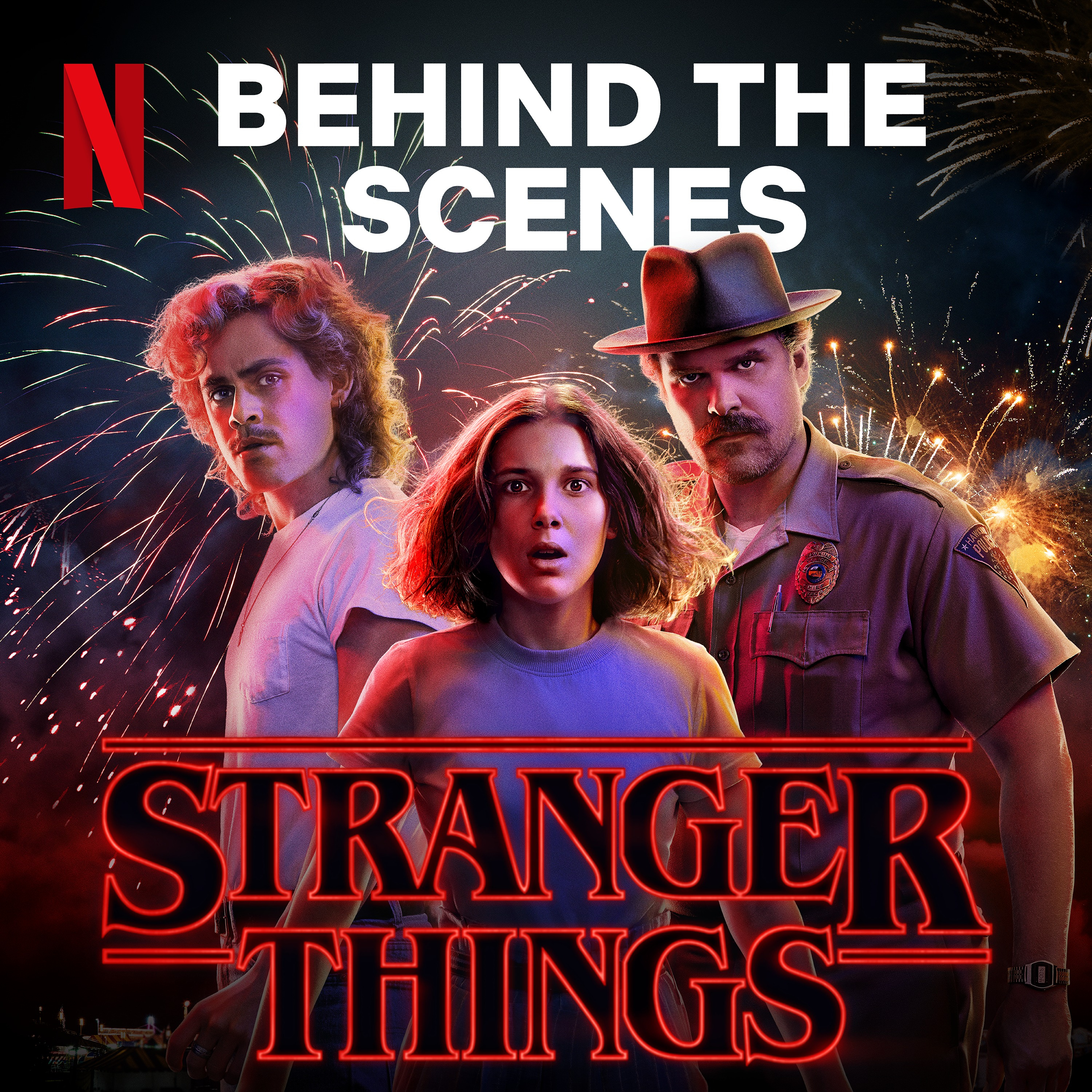 Stranger Things, Netflix Wiki