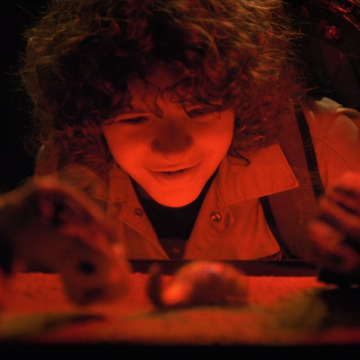 The Pollywog Stranger Things Wiki Fandom