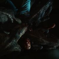 List Of Deaths Stranger Things Wiki Fandom