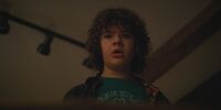 How Tall Is Dustin From Stranger Things