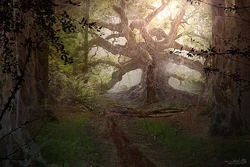 Concept art of the Upside Down during the day.