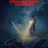 Stranger Things Season 1 Stranger Things Wiki Fandom