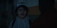 How Tall Is Dustin From Stranger Things