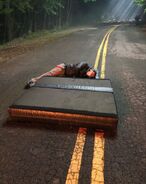 Resting on the Stunt Pads