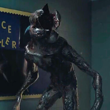 The Demogorgon Stranger Things Wiki Fandom Demogorgons are predatory creatures originating from the upside down and one of the main antagonist in stranger things along with the the mind flayer. the demogorgon stranger things wiki