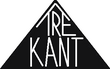 Trekant logo