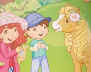 2007 Strawberry Huck Honey Pie Pony.jpeg (43 KB)