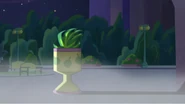 A potted plant revealing itself.