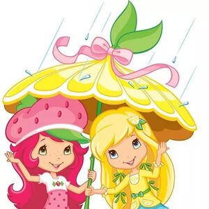 Strawberry Shortcake Image Gallery Strawberry Shortcake Berry Bitty Wiki Fandom