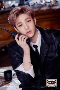 Stray Kids Japan Official в X: „[Stray Kids ONLINE