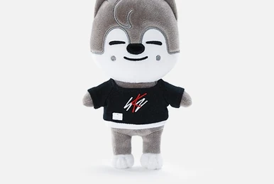 FoxI.Ny/Gallery | Stray Kids Wiki | Fandom