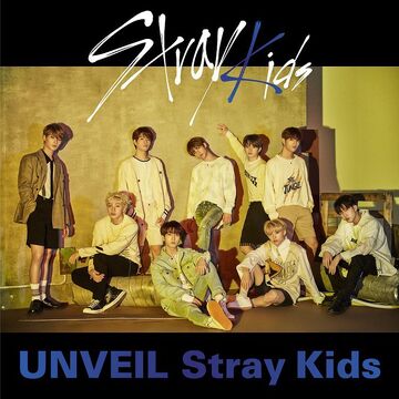Stray Kids will release a new album in November! — Nolae