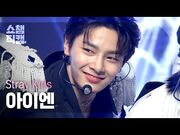 "Thunderous" Show Champion Sep. 1