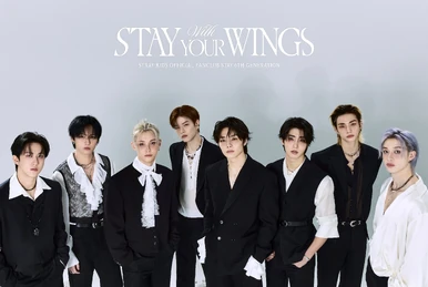 STAY IN PLAYGROUND | Stray Kids Wiki | Fandom