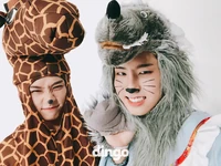 @dingo_official Oct. 28, 2018