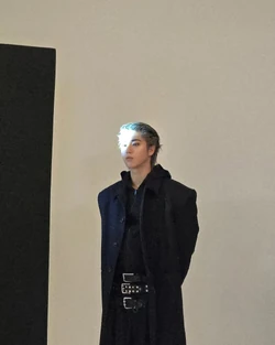 HAN/SNS/2025 | Stray Kids Wiki | Fandom