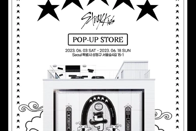 STAY IN PLAYGROUND | Stray Kids Wiki | Fandom
