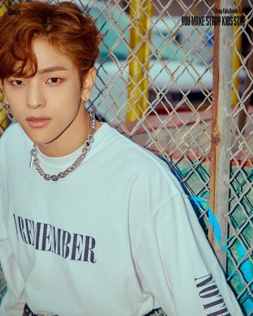 Woojin Stray Kids Wiki Fandom