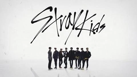 SKZ2020/Videos | Stray Kids Wiki | Fandom