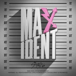 Stray Kids ソウルコン maxident ラキドロ フィリックス フィリックス MAXIDENT ラキドロ Stray Kids トレカ｜Yahoo