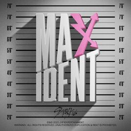 MAXIDENT Digital Cover