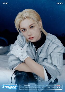 フィリックス　スキズ　PILOT 3RD FAN MEETING カード stray kids 3rd fanmeeting pilot felix photocard