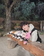 @realstraykids Dec. 1
