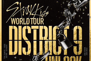 K-POP+アジア Stray Kids - StrayKids &#39;District 9 : Unlock&#39; in SEOUL STRAY KIDS - STRAY KIDS WORLD TOUR DISTRICT 9:UNLOCK IN