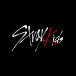 Stray Kids (2017)