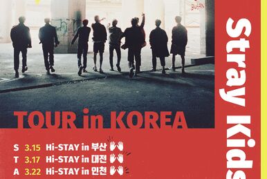 Hi-STAY TOUR in KOREA/Gallery | Stray Kids Wiki | Fandom