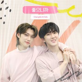 SKZ-RECORD