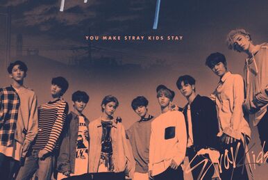 SKZ2020 | Stray Kids Wiki | Fandom