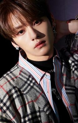 SKZ2020 (best album)/Gallery | Stray Kids Wiki | Fandom