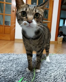 Dori IG 201222