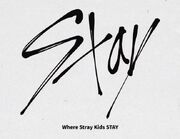 Staylogo