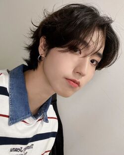 HAN/SNS/2024 | Stray Kids Wiki | Fandom