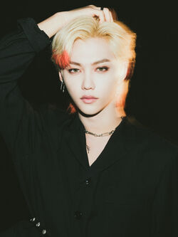 Stray Kids Felix Scars / Thunderous Official Photo Card PC A