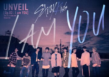 Stray Kids I AM YOU ポラロイド ハン ジソン ②-通販 - 限定