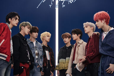 SKZ2020 | Stray Kids Wiki | Fandom