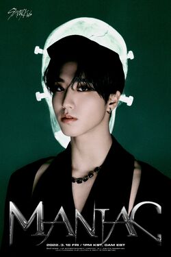 straykids han oddinary ラキドロ Stray kids ODDINARY Trading Unit Photocards Bang Chan & Han
